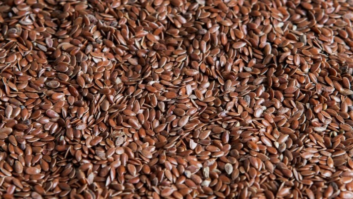    фото: 8photo / freepik.com