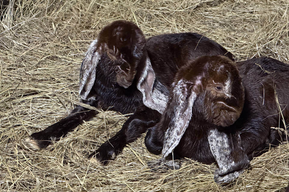    фото: ЦПКиО