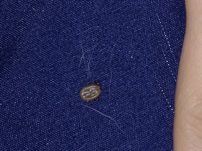    Подслушано Закамск