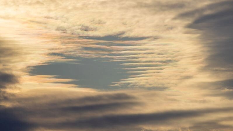    Фото: Федор Воронов/«Ямал-Медиа»