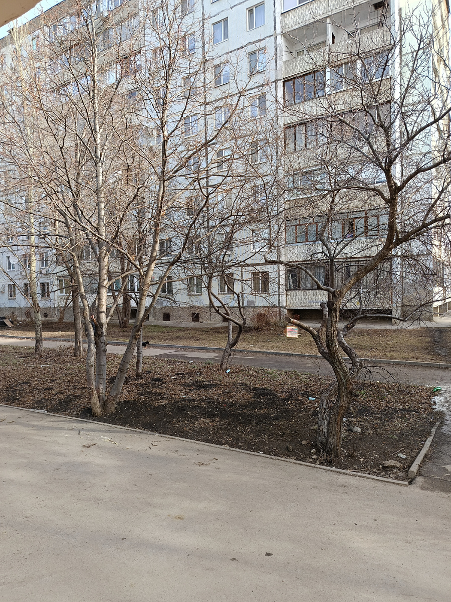 Сегодня 27 марта