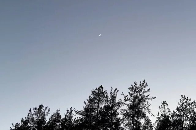    ПВО отразила атаку БПЛА в ночь с 26 на 27 марта над Крымом: что известно?