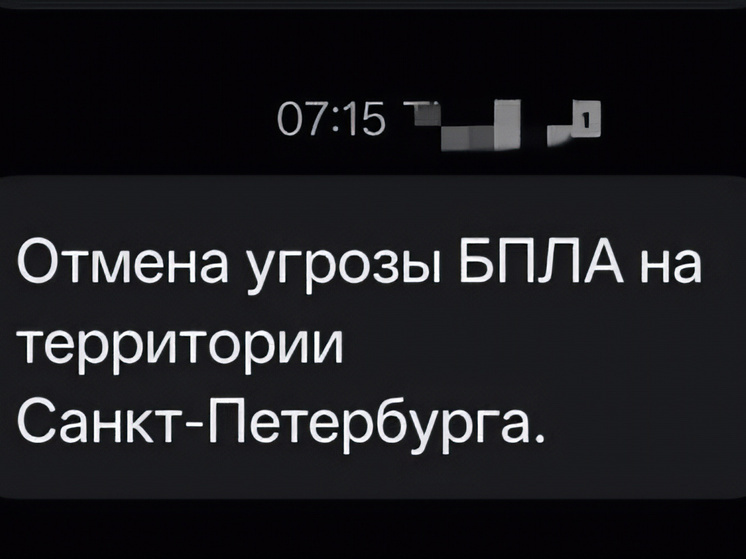     Сообщение об этом пришло на телефоны петербуржцев от РСЧС. Фото: скриншот оповещения