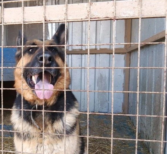 В ПРИЮТ ОЧЕНЬ НУЖНА ЕДА