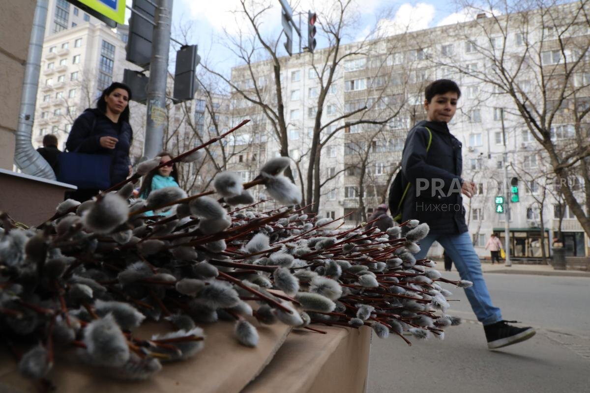    Нередко верующие в Вербное воскресенье похлопывают веточками вербы домочадцев для доброго здравия