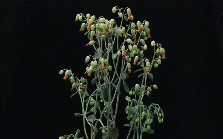    Фото: Heike Lindner