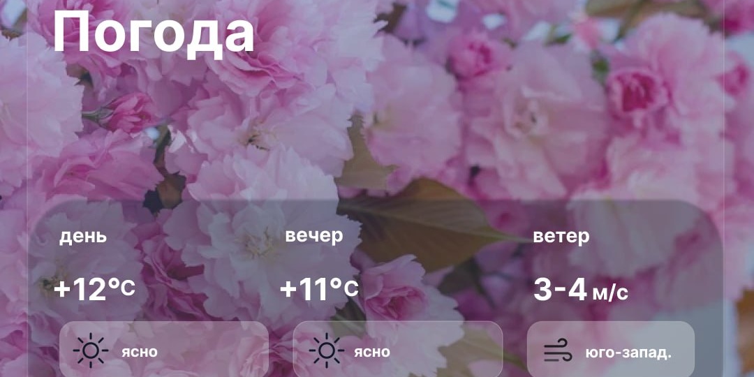 Доброе утро, севастопольцы! В городе ожидается ясная солнечная погода