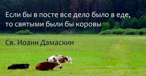 Фото заимствовано мной из интернета, но так сочетается с моими мыслями о посте, что не удержалась и копировала