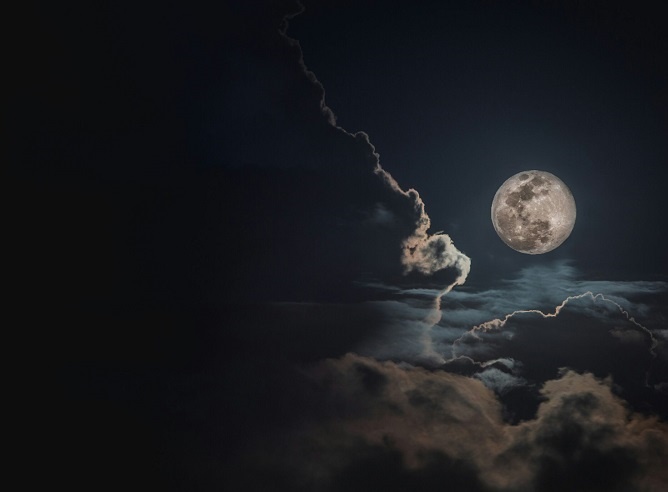     Фото: freepik.com