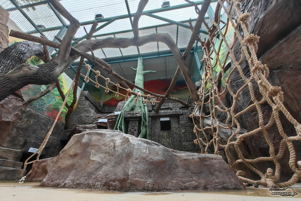    Фото: Лидия Аникина © ИА «Уральский меридиан»