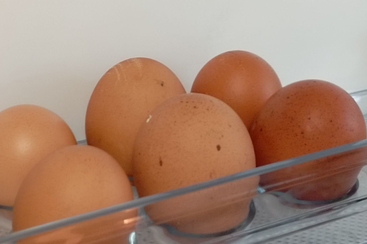 Фото 19rusinfo.ru
