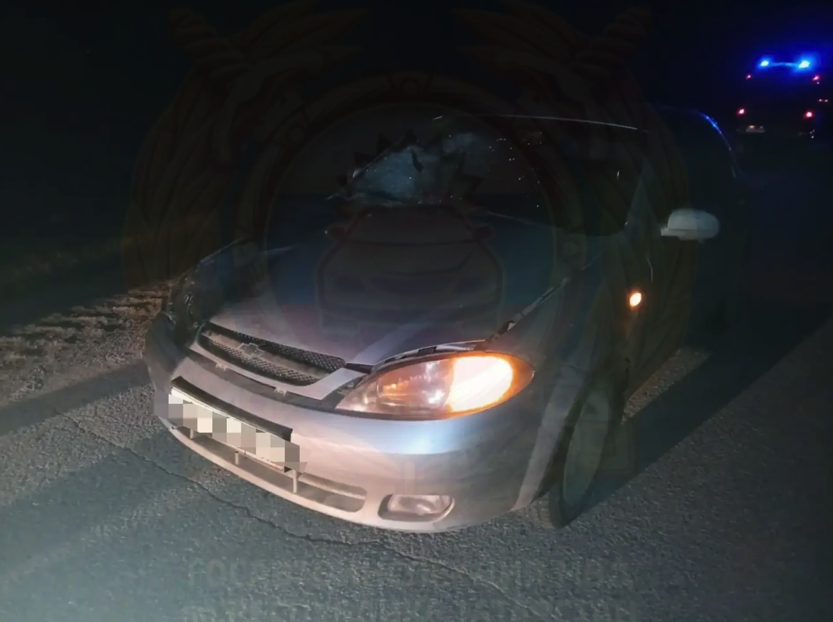 Фото: Госавтоинспекция РТ