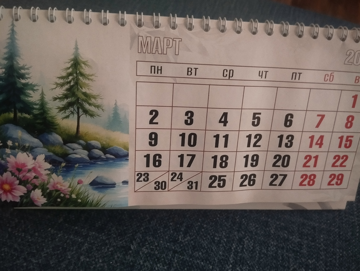 Сегодня ровно четыре недельки как Сима в Дзене, но до дзена ей ещё очень далеко