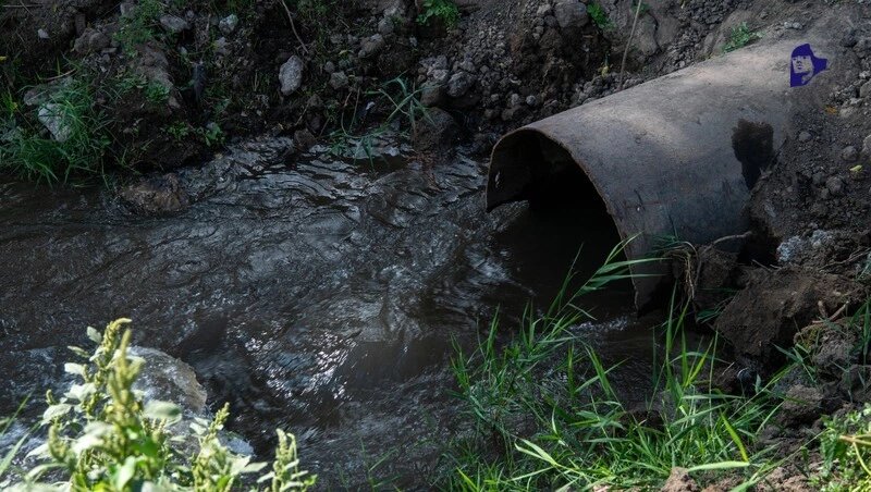      Фото: ИА «Победа26»