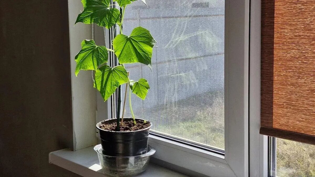 / Фото: REGIONS/Наталья Надточая