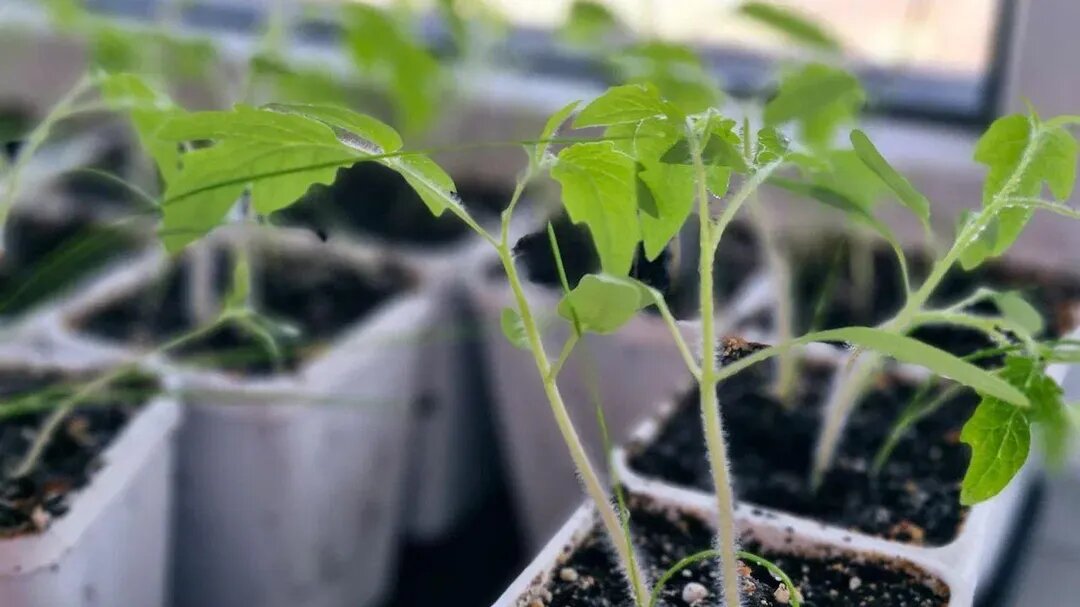 / Фото: REGIONS/Наталья Надточая