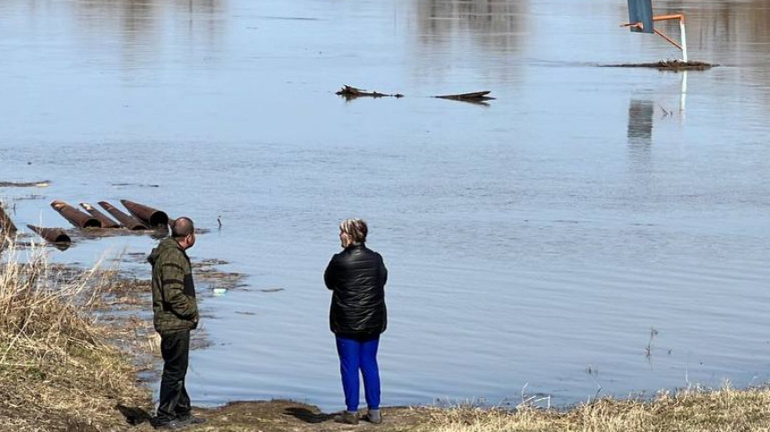    Фото: ИЗВЕСТИЯ; 5-tv.ru