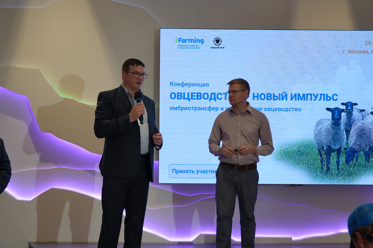 *конференция по овцеводсву