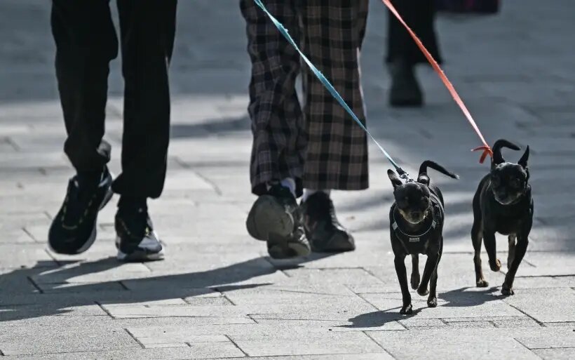     © РИА Новости. Александр Кряжев