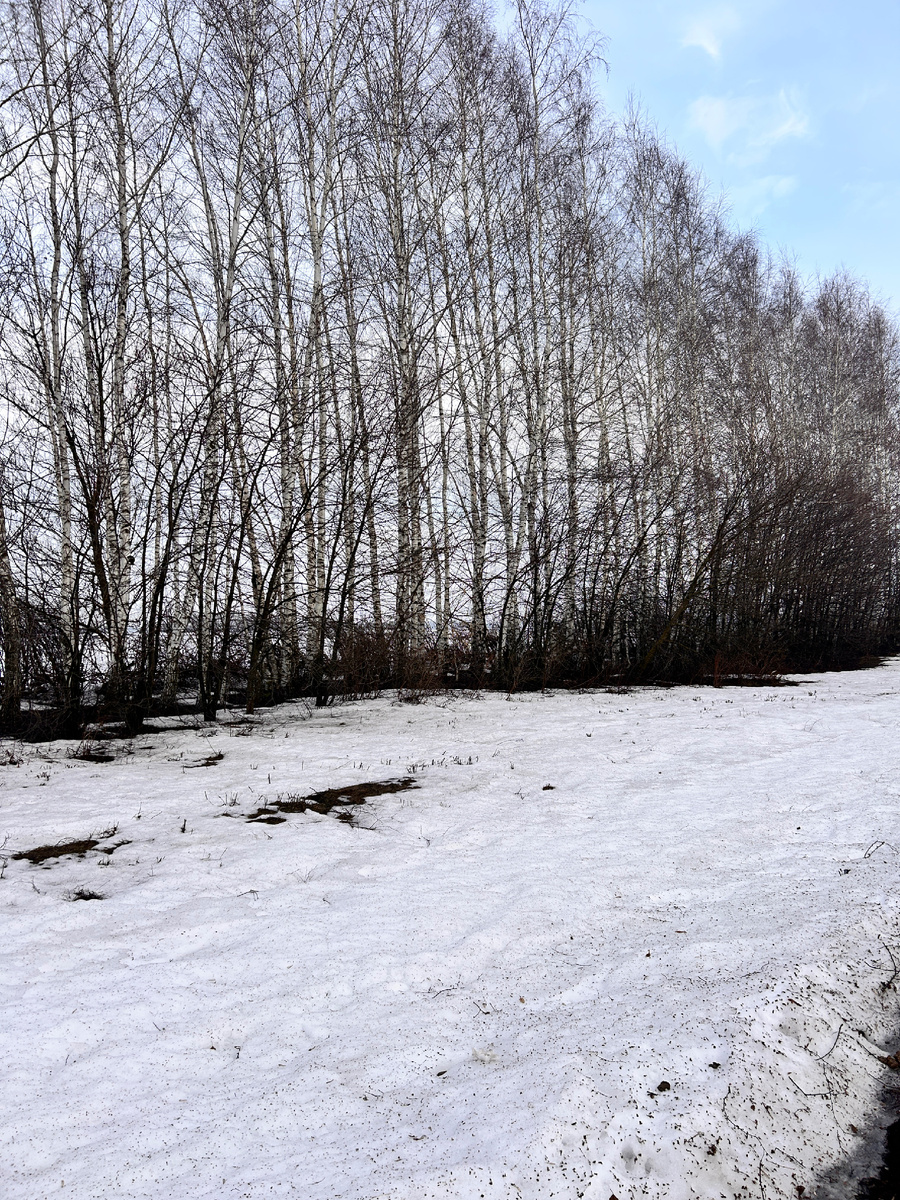 Практически вид из окна