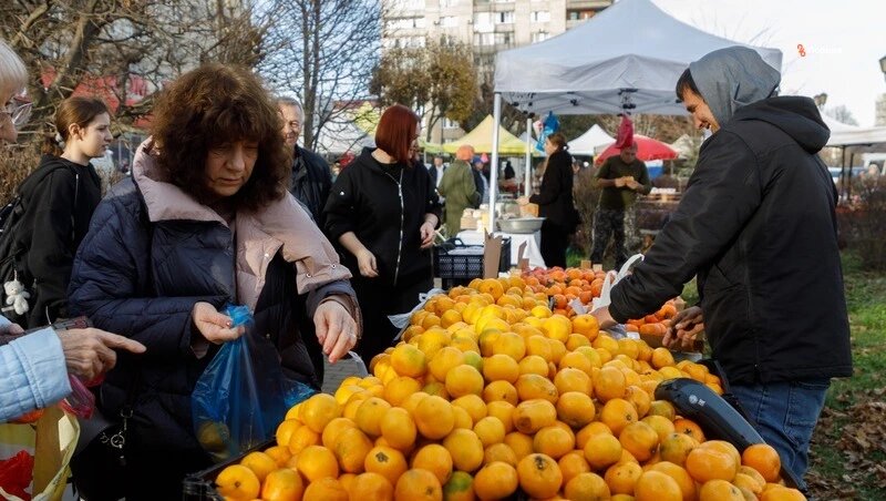      Фото: Дмитрий Ахмадуллин / / ИА «Победа26»