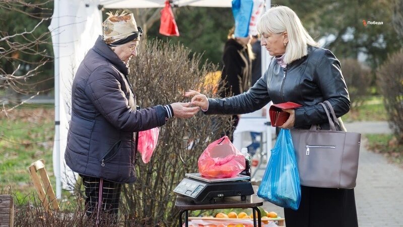    Ярмарки в Ставрополе проходят регулярно Фото: Дмитрий Ахмадуллин / / ИА «Победа26»