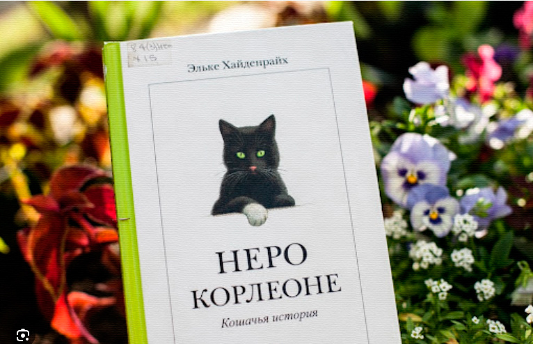 Хайденрайх, Эльке. Неро Корлеоне: кошачья история / пер. с нем. В. Позняк, Н. Федоровой; ил. К. Бухгольца. - М.: Самокат, 2010. - 88 с., цв. ил.