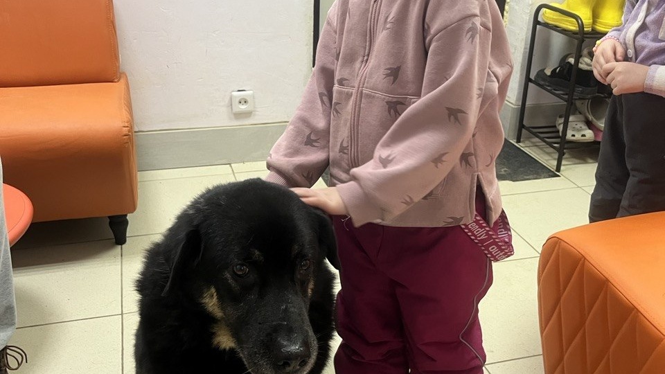 Вчера к нам приезжали гости!