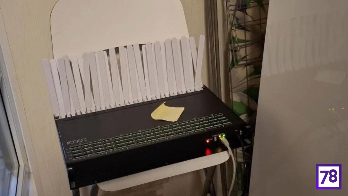    Фото: пресс-служба ГУ МВД России по Петербургу и Ленобласти