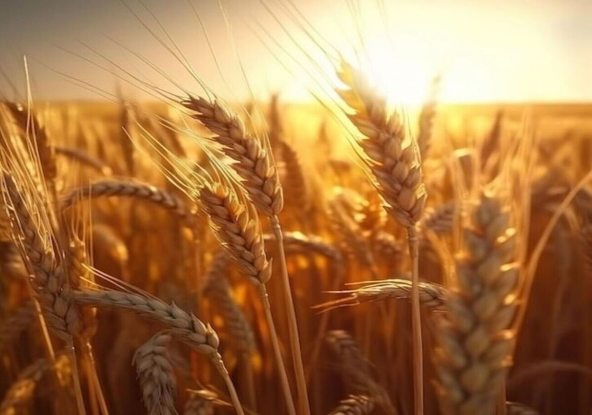    Перспективы выхода российского АПК на рынки стран Африки: оценка потенциального объёма экспорта более 7,5 млрд долларов к 2030 году