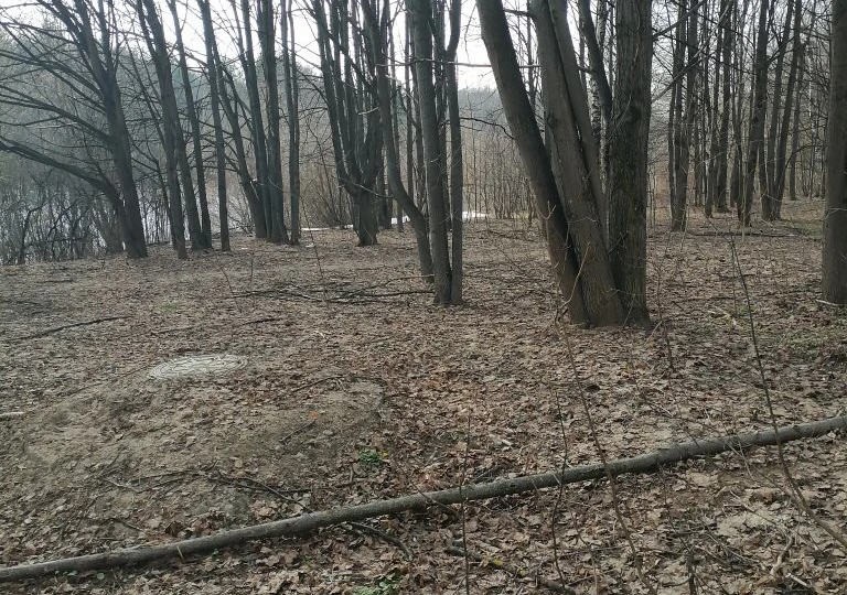 Какой чай я пью, чтобы уменьшить вес .