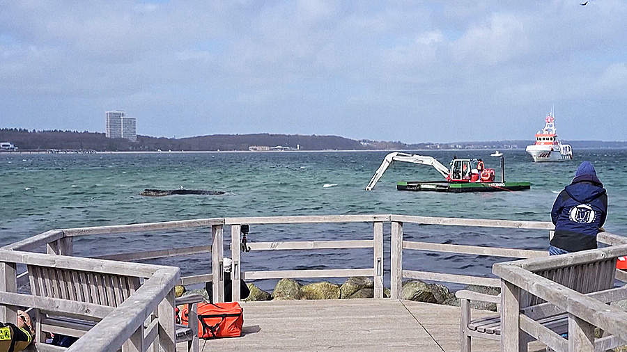    © АО "ТВ Центр"