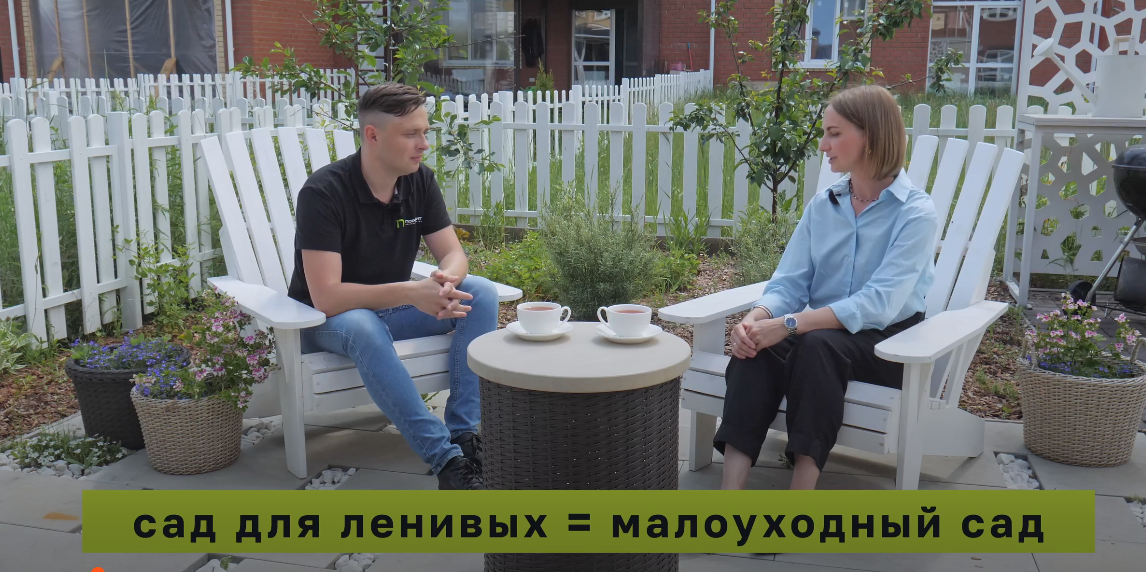 Малоуходный сад. Сад для ленивых. На примере таунхауса