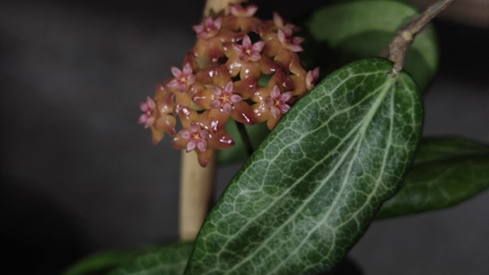 Доброе утро