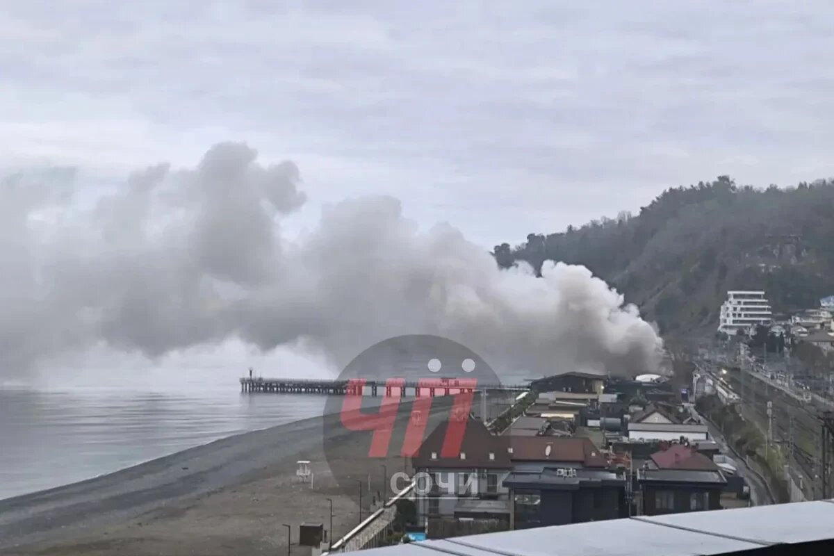    Фото t.me/chepsochi