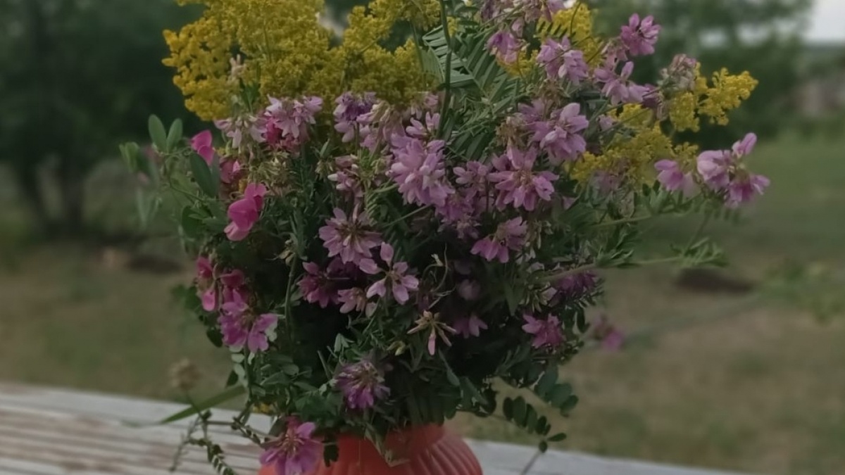    Саратовцам напомнили про реальные штрафы за сорванные тюльпаны из Красной книгиНовости Саратова и области – Сетевое издание «Репортер64»