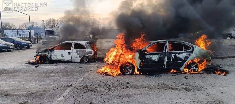    Фото: пресс-служба правительства Белгородской области