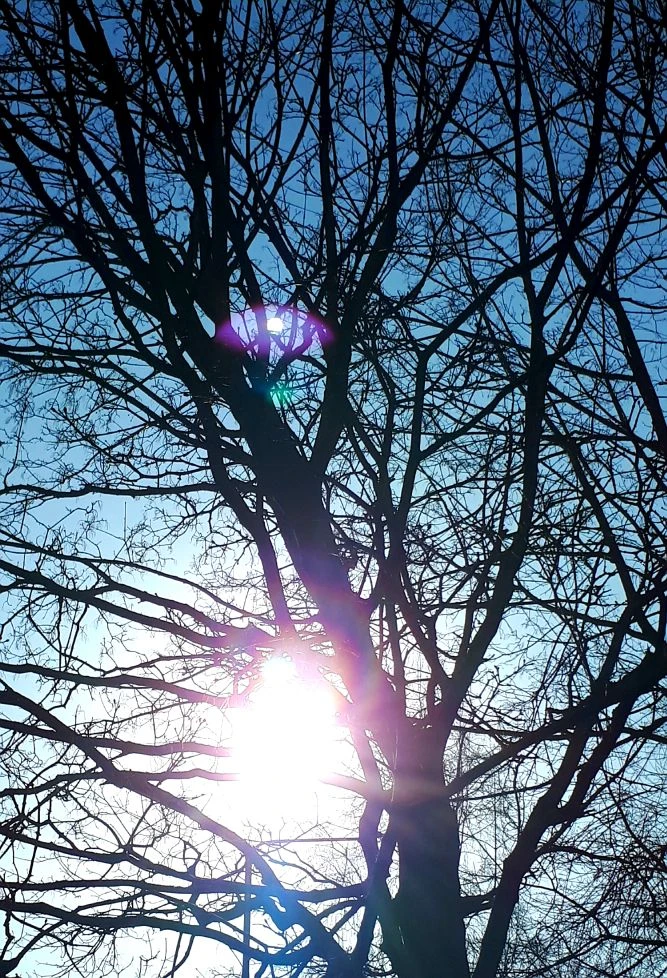 Фото автора статьи 27.08.2026г.