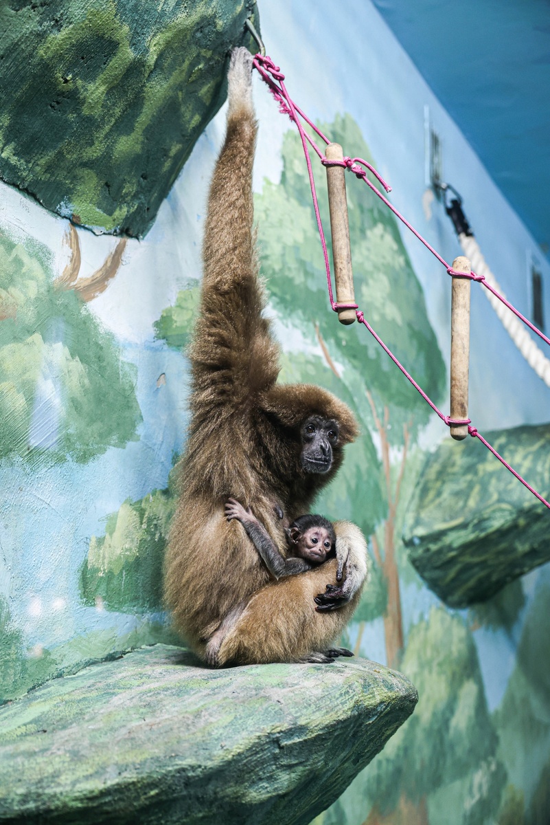Фото: пресс-служба Екатеринбургского зоопарка