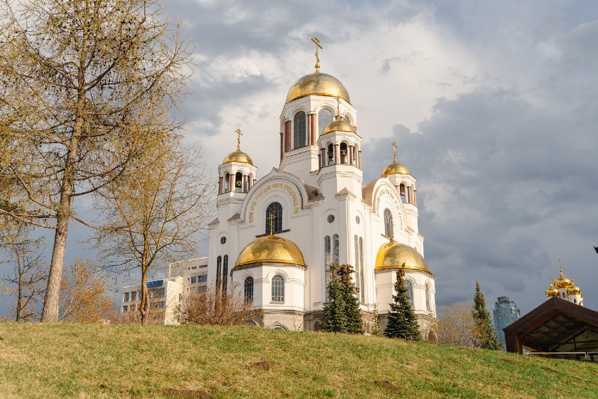    Фото: iStock/ Diy13