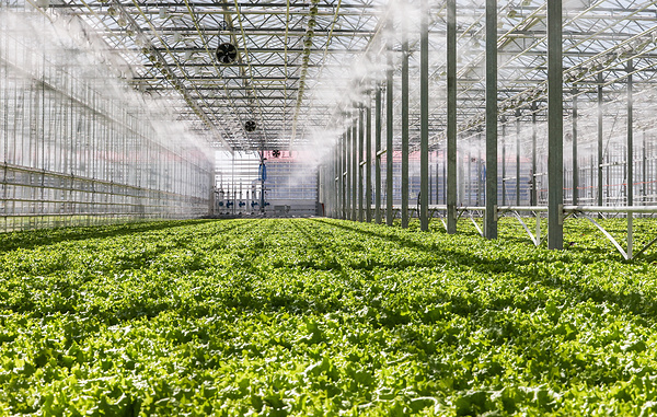 Юрий Смитюк/ТАСС