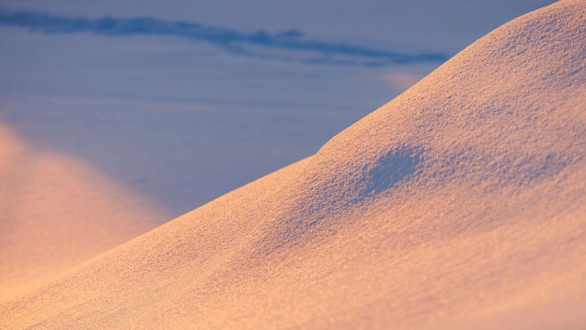    Фото: Федор Воронов/«Ямал-Медиа»