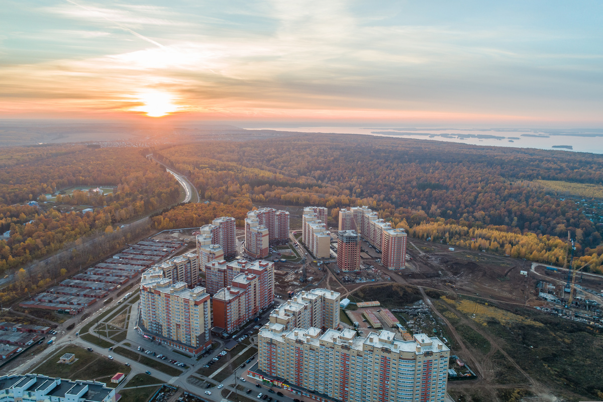 2022 год
