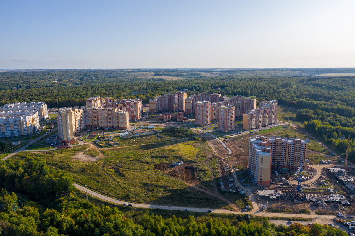 2023 год