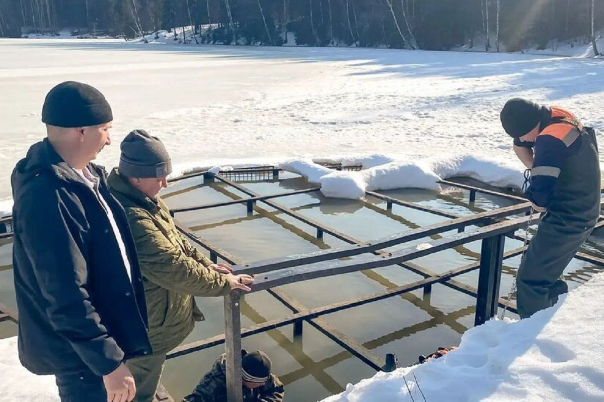    Фото: пресс-служба администрации Сергиево-Посадского округа