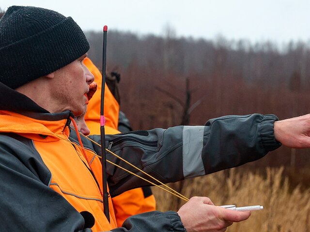    Фото: ТАСС/Сергей Булкин