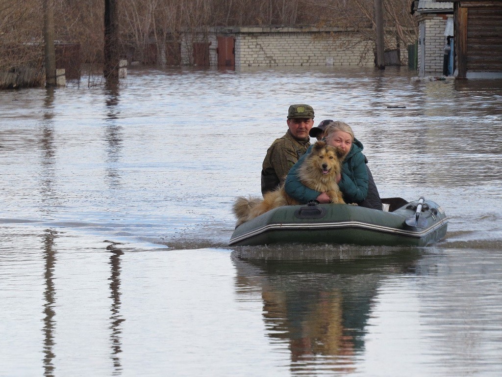    Фото © Telegram / Курганская область официально