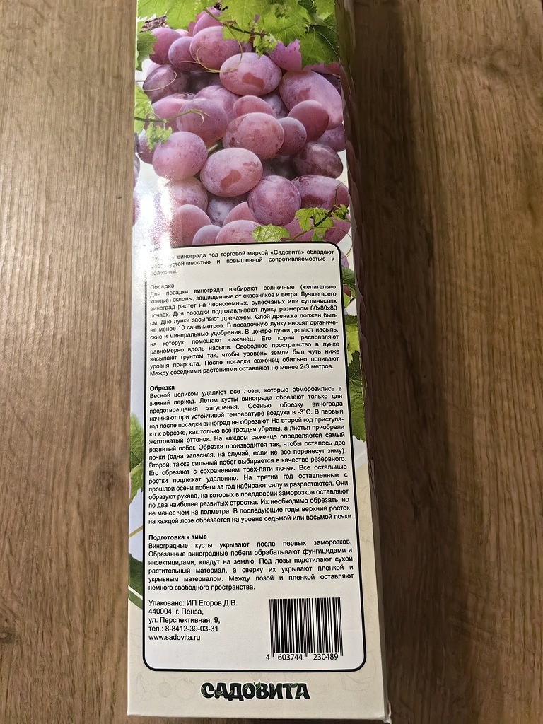 Коробка от саженца винограда. Фото Натальи Мироновой