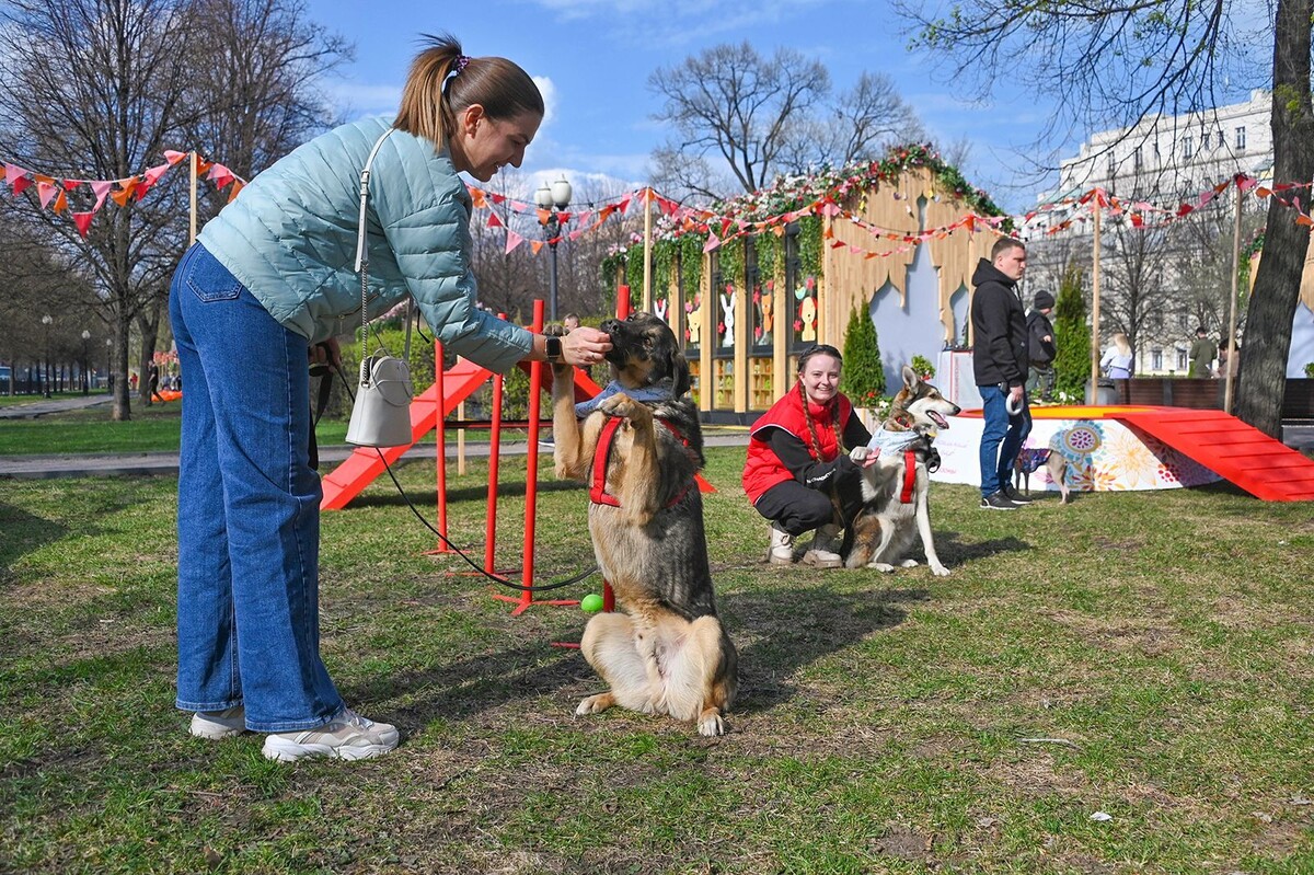    На Тверском бульваре состоится мероприятие «"Моспитомец" - Четвероногий друг»