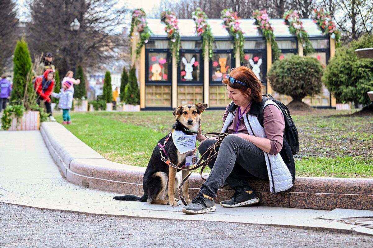    На Тверском бульваре состоится мероприятие «"Моспитомец" - Четвероногий друг»